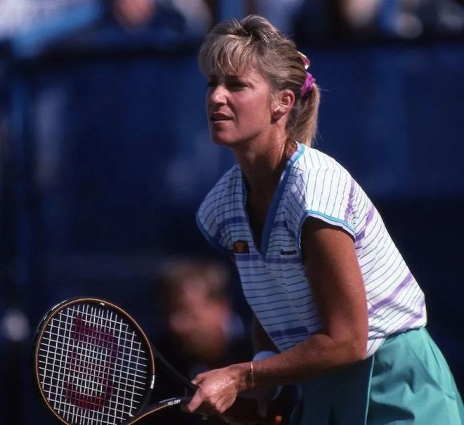 教科书般的 教科书般的